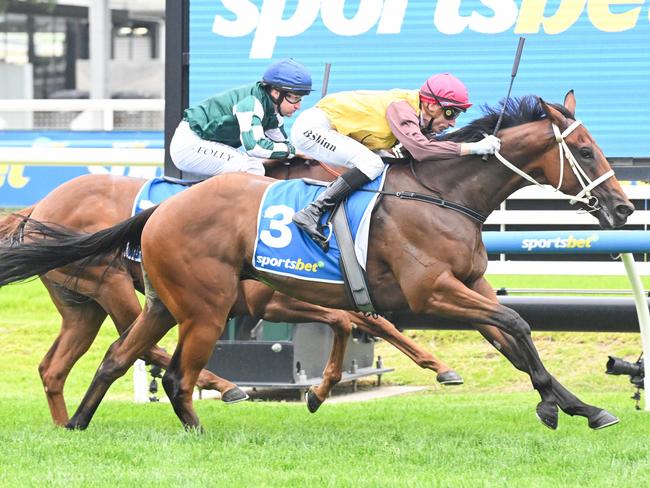 Field Of Play ridden by Blake Shinn wins the Sportsbet Blue Diamond Prelude (C&G) at Caulfield Racecourse on February 08, 2025 in Caulfield, Australia. (Photo by Reg Ryan/Racing Photos via Getty Images)