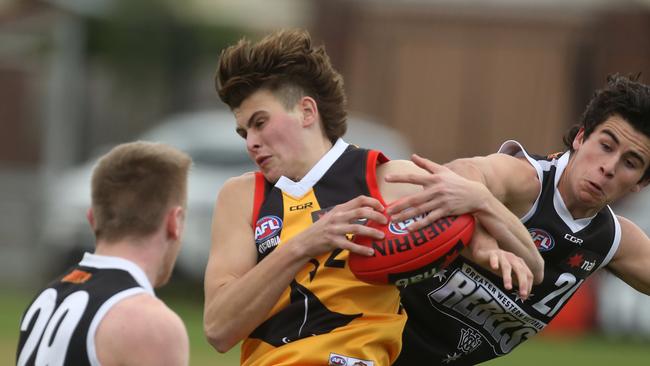 Dandenong Stingrays bottom-ager Jai Neal made an encouraging debut for Noble Park, kicking two goals against Vermont.