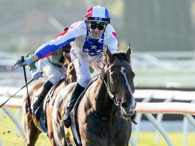 Mystery Island (JPN) ridden by Harry Coffey wins the Sungold Milk Warrnambool Cup at Warrnambool Racecourse on May 02, 2024 in Warrnambool, Australia. (Photo by George Sal/Racing Photos via Getty Images)