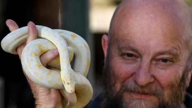 Snake catcher Barry Goldsmith has been working with snakes for 40 years. Picture: Penny Stephens