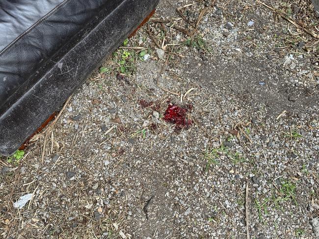 Blood at the site where the teens were shot. Picture: Josephine Quattrochi