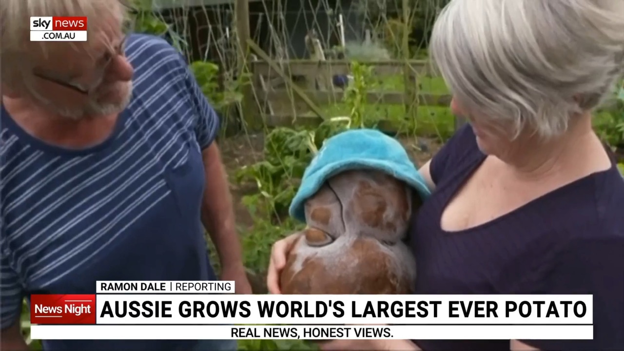 Australian grows world's largest-ever potato