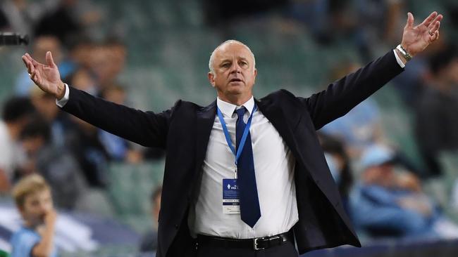 Graham Arnold is the favourite to take the reins after the World or Asian Cup.
