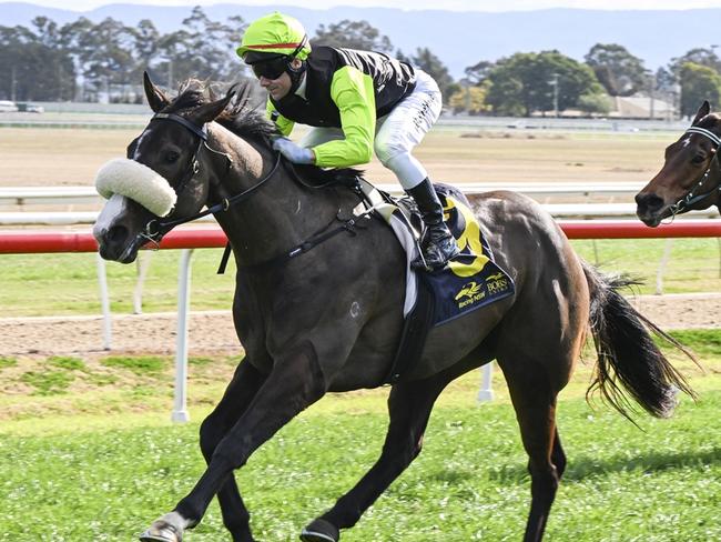 Just Gisella can bounce back from her last start defeat when she heads to Kembla on Thursday. Picture: Bradley Photos