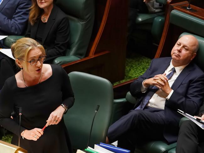 Premier Jacinta Allan and Treasurer Tim Pallas. Picture: Luis Enrique Ascui