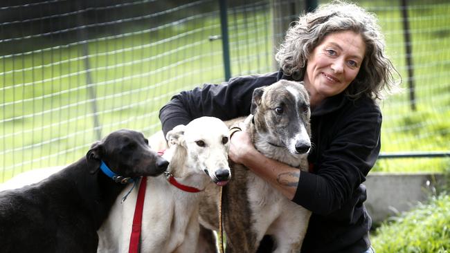 Brightside Farm Sanctuary founder Emma Haswell with some of her rehomed greyhounds. Picture: KIM EISZELE