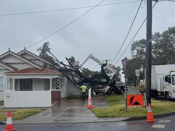 A large tree has fallen onto the roof family home in Coburg, above where a mother and her children were sitting, after the family was assured by the council it was safe.  Sheffield St Coburg Picture: Facebook