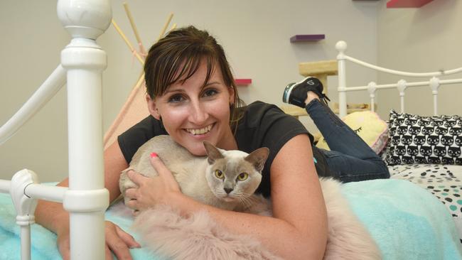 Cat Napping owner Ebony Centazzo opened a penthouse-style room in her Spotswood cattery for pampered pussy cats.