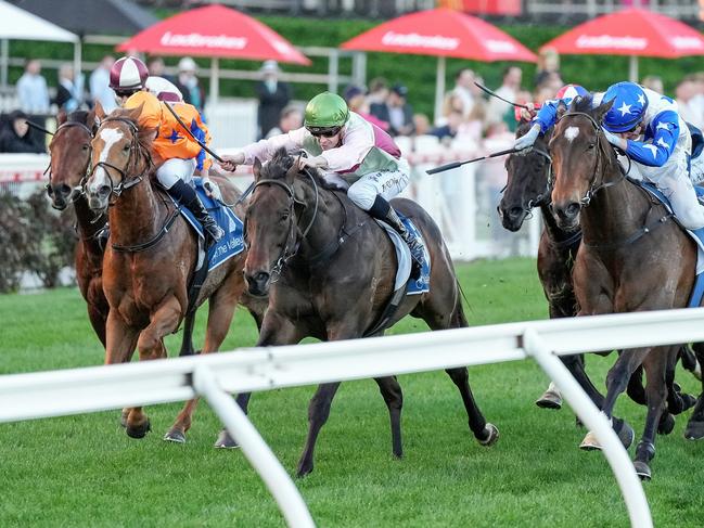 Mornington Glory ridden by Ethan Brown wins the Paramount Liquor Carlyon Stakes at Moonee Valley Racecourse on August 24, 2024 in Moonee Ponds, Australia. (Photo by George Salpigtidis/Racing Photos via Getty Images)