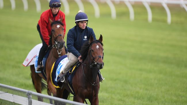 Wall Of Fire drops sharply in weight after running an eye-catching second in the Herbert Power Stakes.