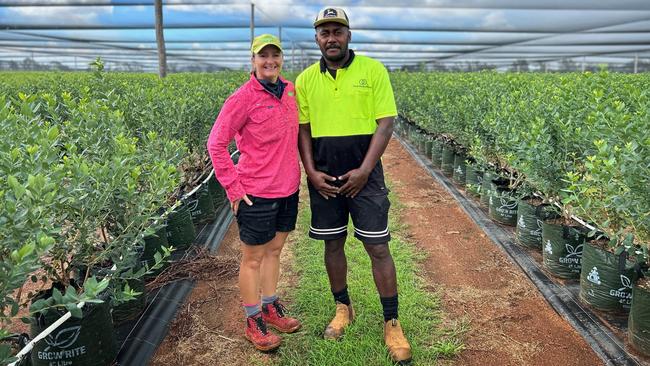 Farm manager Sally Jolly and worker Keleto Turaganiqali Naituku at her Smart Berries operation in Mundubbera, Queensland.