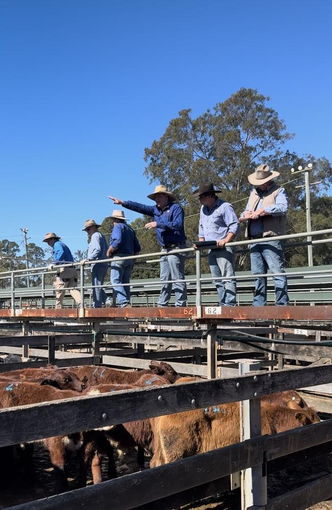 Livestock auctioneer Patrick Sullivan. Photo: Supplied