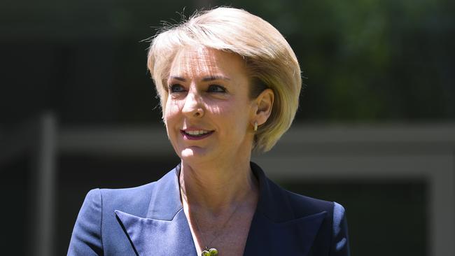 The Michaelia Cash incident should serve as a memo to all politicians: white boards make terrible props. Picture: Lukas Coch/AAP