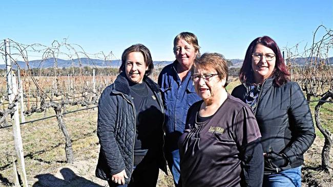 LEADING THE WAY: Ballandean Estate's Robyn Puglisi-Henderson, Robyn Robertson, Mary Puglisi and Leeanne Puglisi-Gangemi. Picture: Matthew Purcell