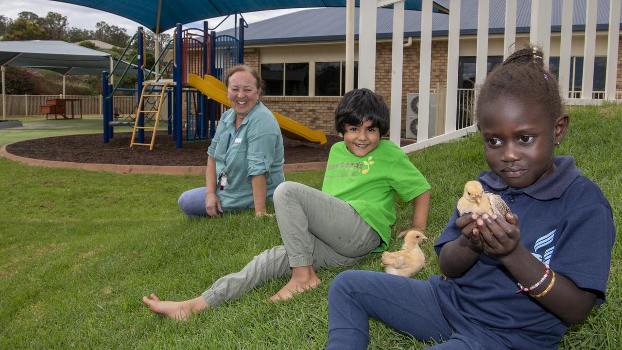 Darling Downs Christian School kindergarten teacher, Robyn Crisp (left) with kindy students Gavin Chaudhary (centre) and Nyibol Jok with their class pets, chicks Pumpkin and Risotto. Picture: Nev Madsen