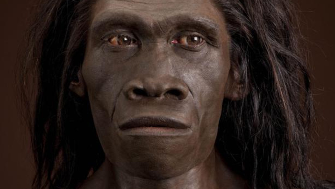 Homo erectus death: ANU study finds laziness killed human ancestor ...