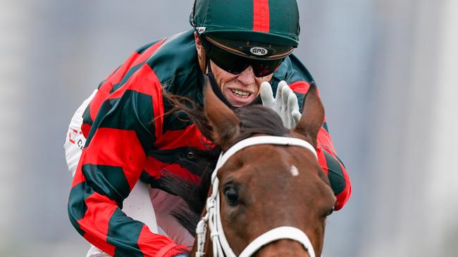 September Run was just one of a host of big race winners for Craig Williams. Picture: Racing Photos via Getty Images