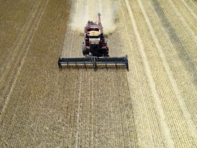 CROPS: Demeo Family HarvestTim Demeo and family finishing wheat harvest on their cropping property north of Raywood. Jack harvesting, and with last remaining crop.PICTURED: Drone wheat harvest. PICTURE: ZOE PHILLIPS