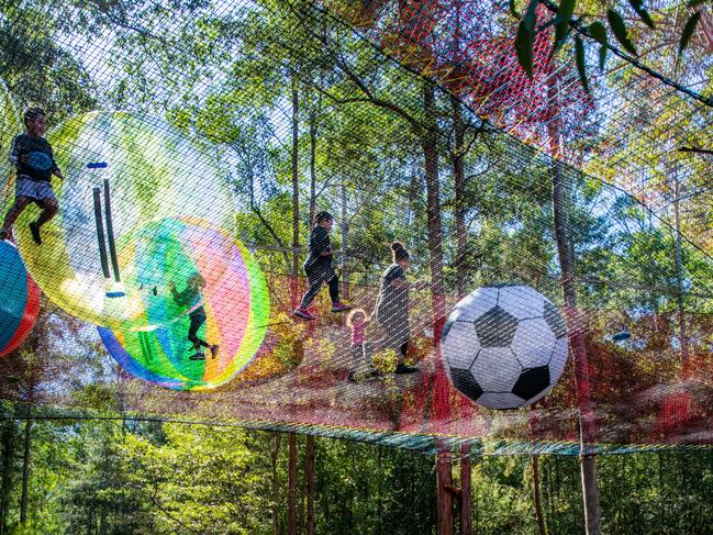 Ground view of Australia’s first suspended net park Treetop NetWorld.