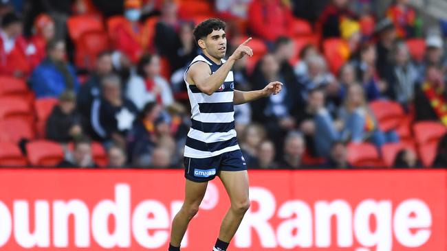 Tyson Stengle has been a superb addition to Geelong’s forward line.