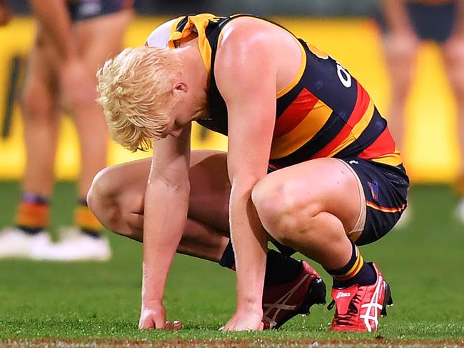 ADELAIDE, AUSTRALIA - AUGUST 11:Elliott Himmelberg of the Crows at the final siren  during the round 11 AFL match between the Adelaide Crows and the Collingwood Magpies at Adelaide Oval on August 11, 2020 in Adelaide, Australia. (Photo by Mark Brake/Getty Images)