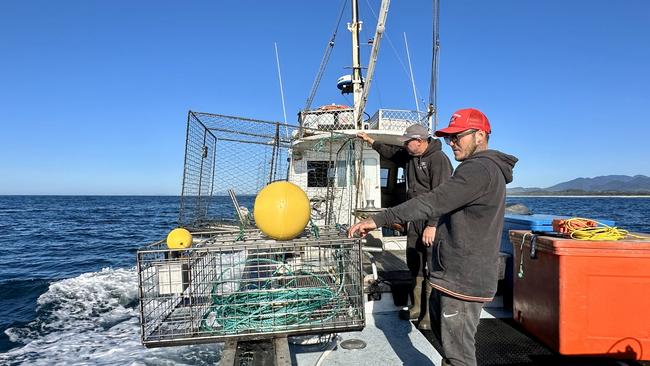OceanWatch is calling on more commercial fishers to take part in its East Coast Whale Entanglement Program trialling new gear to protect whales. Picture: OceanWatch