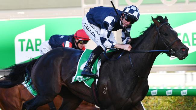 Russian Camelot is a standout pick at Caulfield. Picture: AAP