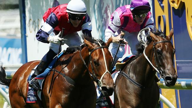 Caulfield Races, Family Day, 14th February , Melbourne Australia. Race 2, Kevin Hayes Stakes over 1200 meters. Winner no 5 Sabatini ridden by Nicholas Hall ( white cap) 2nd no 6 Royal Snitzel ridden by Dake Smith ( purple cap ) Picture : George Salpigtidis