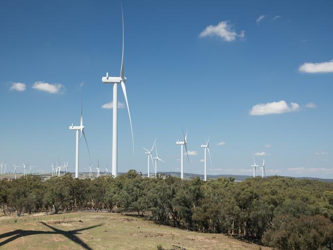 Collector Wind Farm. Picture: Supplied by Symal