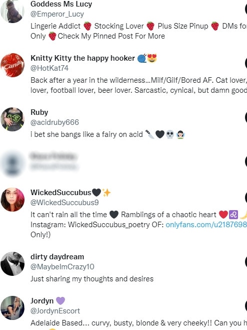 Screenshots of the accounts the Twitter handle was following.