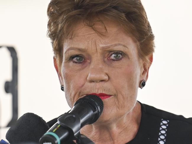 CANBERRA, AUSTRALIA - MARCH 23: Senator Pauline Hanson speakes at Anti-transgender activist Kellie Jay-Keen rally at Parliament house in Canberra. Picture: NCA NewsWire / Martin Ollman