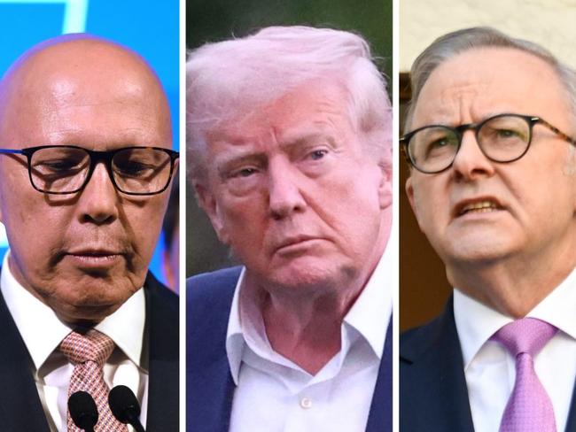 web art for dutton, trump & albo
