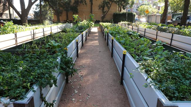 The is a community garden on McKee Street in Ultimo. Picture: Rohan Kelly