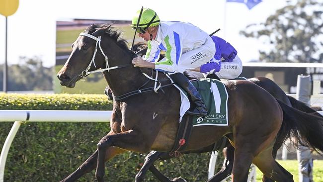 Winning Proposal will have her first start for the Bjorn Baker stable at Gosford today. Picture: Bradley Photos