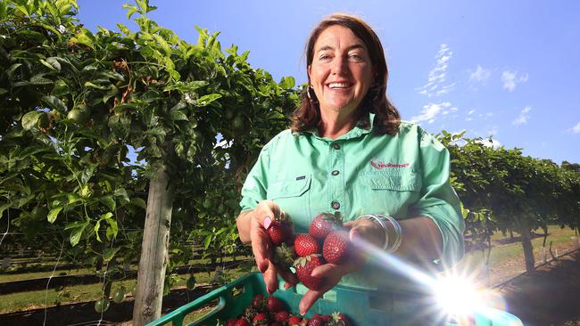 Tina McPherson from Tinaberries in Bundaberg. Picture: Adam Head