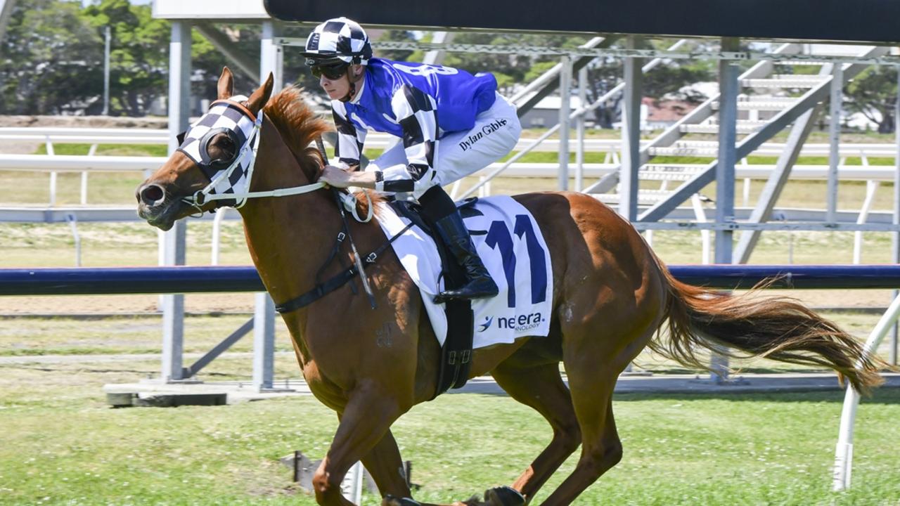 Solutionist can make it back-to-back wins when she heads to Taree. Picture: Bradley Photos