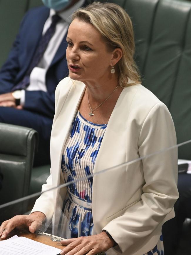 Sussan Ley. Picture: Getty Images