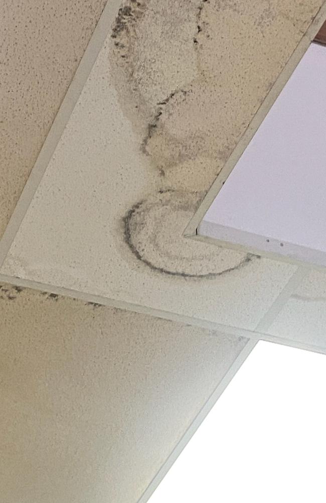 Some of the mould at the Cavenagh Centre in February 2024