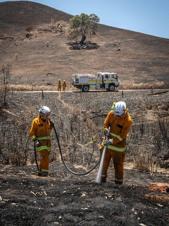 Meadows CFS volunteers Reece Lorde and John Paterson extinguish burning tree roots on the Bremer River at Rockleigh. Picture: Brad Fleet