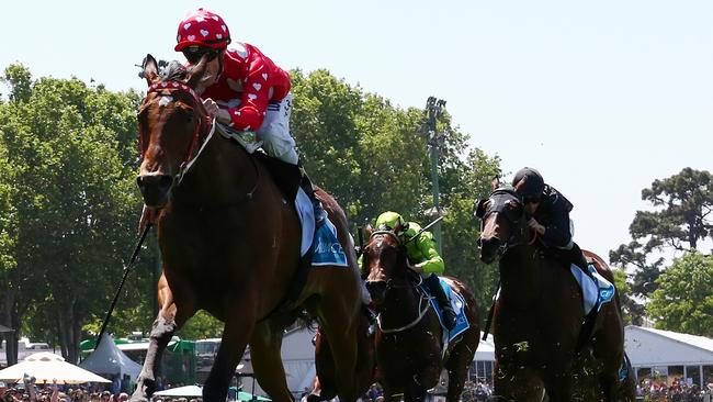 My Poppette should be too classy for her rivals at Sandown on Wednesday. Picture: George Salpigtidis
