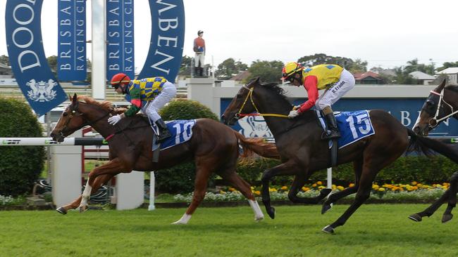 Wack'em ran second to Mistral Thief at Doomben on June 27, 2015, two months before an illness nearly took his life. Photo: Trackside Photography.