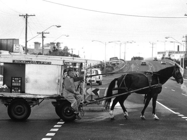 Milkman Claudie Butcher, 71, during his daily delivery round at Port Melbourne in June 1987. He was the last horse drawn milkman in metropolitan Melbourne with his horse stabled at the family home on Graham St.