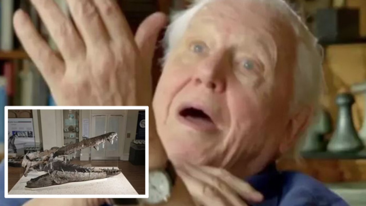 Sir David Attenborough has made an absolutely unbelievable discovery while filming for an upcoming BBC show. Credit: BBC