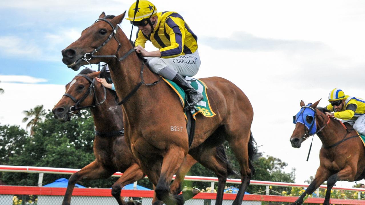 Spud (IRE) ridden by Clayton Douglas wins the Bertocchi Xmas Hams Class 1 Handicap at Bendigo Racecourse on December 13, 2020 in Bendigo, Australia. (Brett Holburt/Racing Photos)