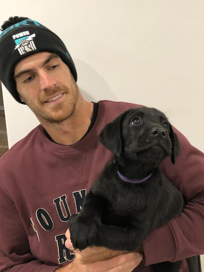 Port Adelaide player Scott Lycett's dog Kevin. Picture: Instagram