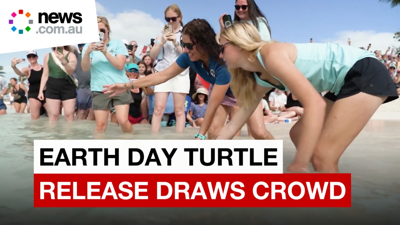 Earth Day Sea Turtle release draws hundreds to Florida beach