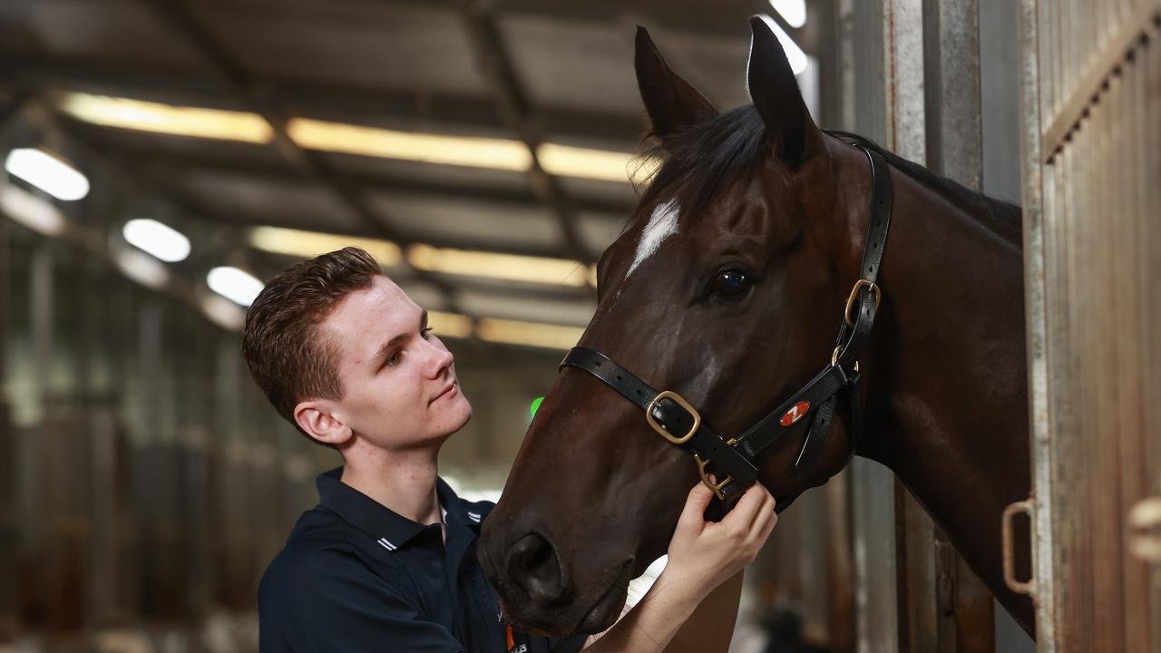 Brave Pride with TJ Smith aspirant Private Eye at the Warwick Farm stables of his father Joe.Picture: Justin Lloyd.