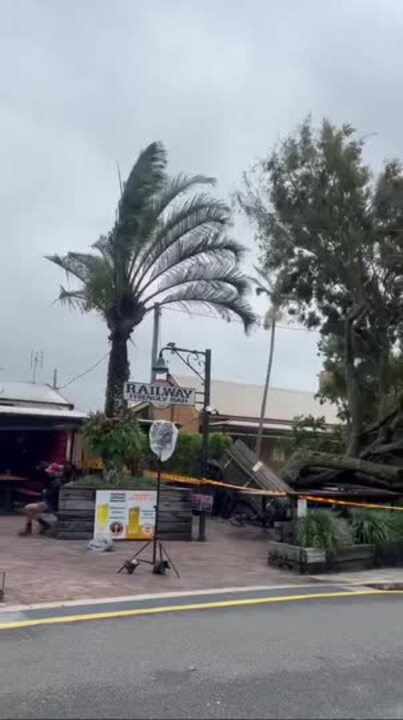 Massive Tree Falls at Popular Byron Bay Pub Amid 'Destructive' Winds