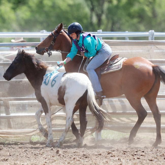 MCAV women’s challenge winner Hayley Hinton “decorates” her horse in the final event. Picture: Yuri Kouzmin