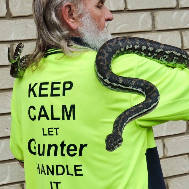 Darling Downs Snake Catchers 24/7 owner Gunter Glaser on the job. Picture: Contributed